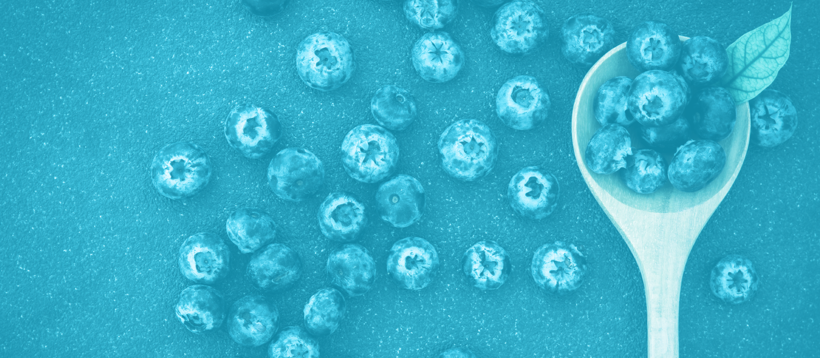 you-are-what-you-eeat