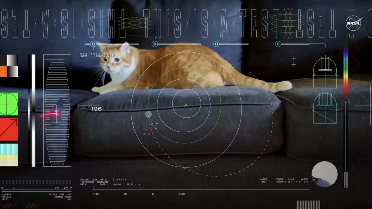 nasa-beamed-a-cat-video-back-to-earth-from-deep-space