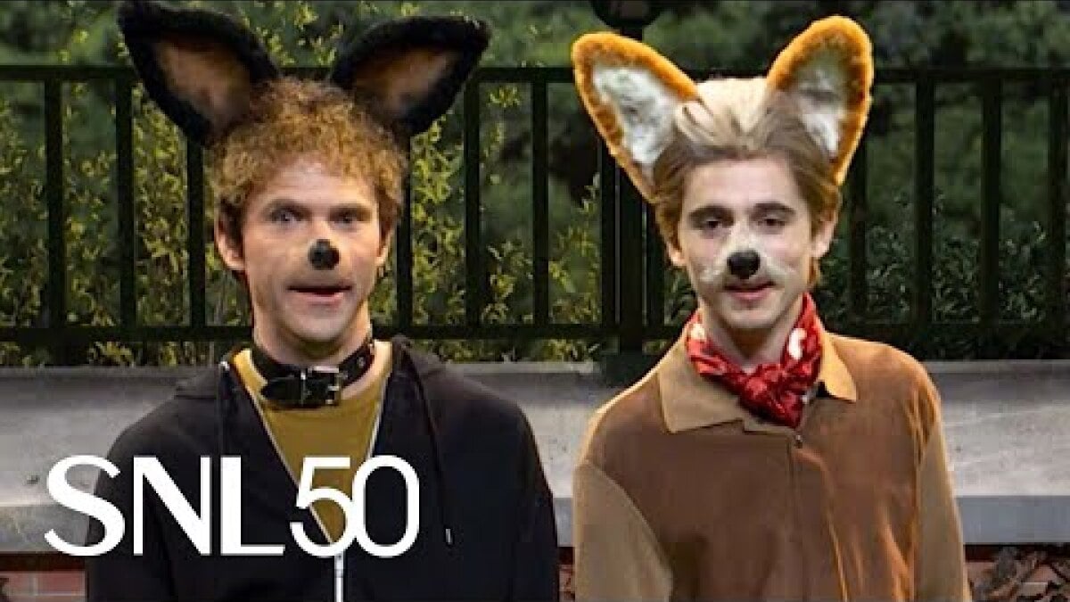 snl:-what-if-timothee-chalamet-was-a-dumb-dog-that-did-human-things?