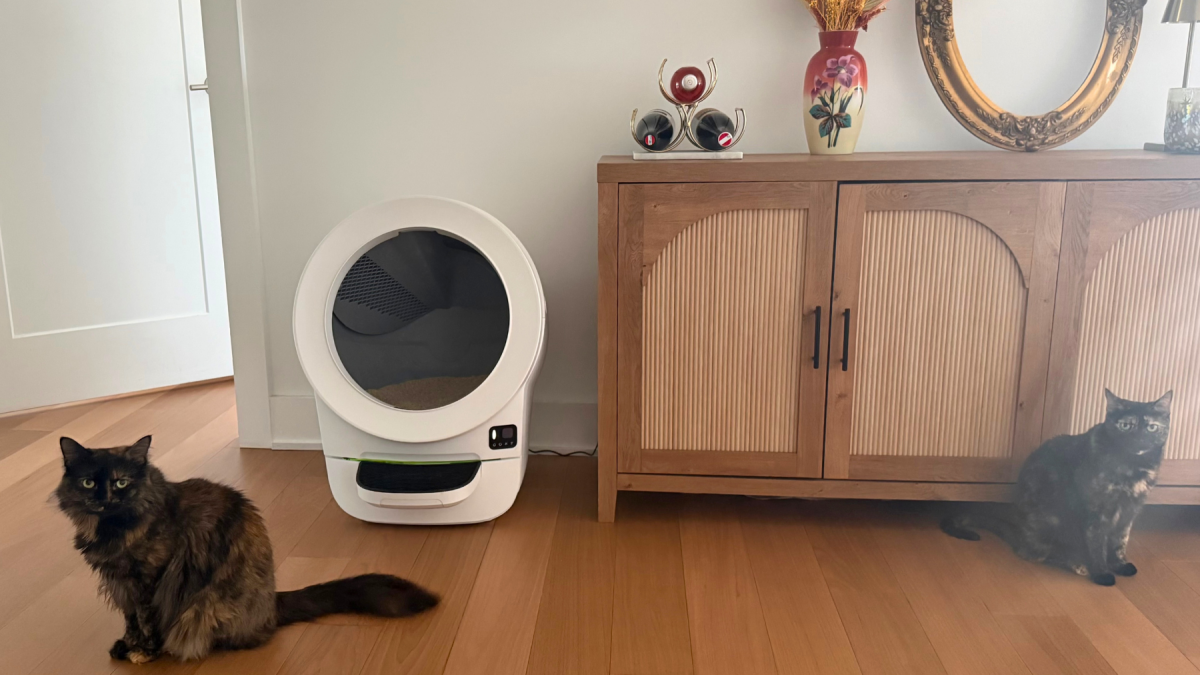 Litter-Robot EVO Review: The Cheapest Litter-Robot Is Pretty Great For Apartments, But Should Still Be Cheaper